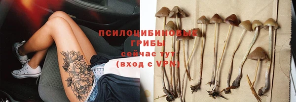 mdpv Михайловск