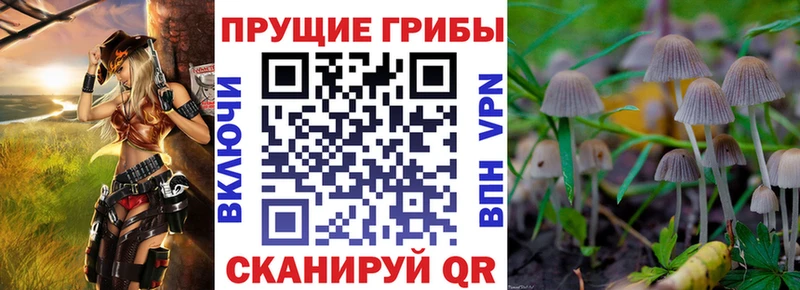 Галлюциногенные грибы мицелий  Купить где  Апрелевка 